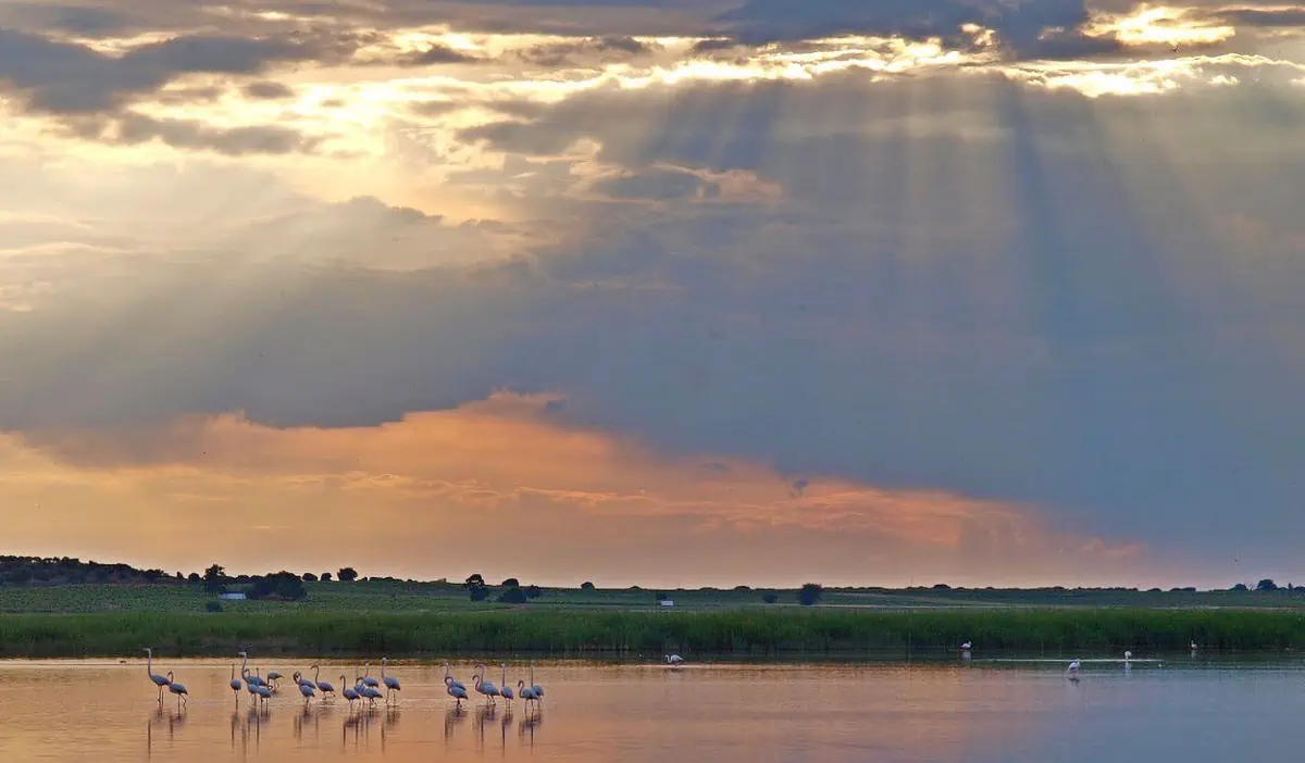 laguna de la albardiosa 1