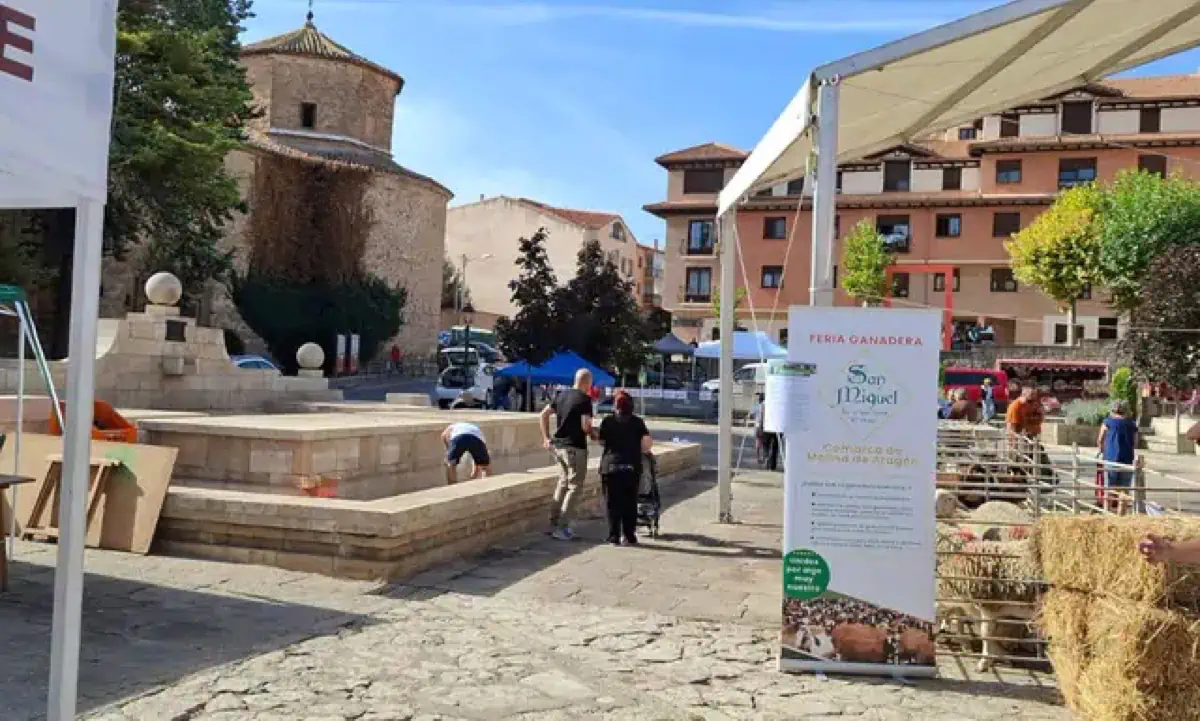 foto1 III Feria Ganadera de San Miguel en Molina de Aragón tradición innovación y futuro para la ganadería extensiva