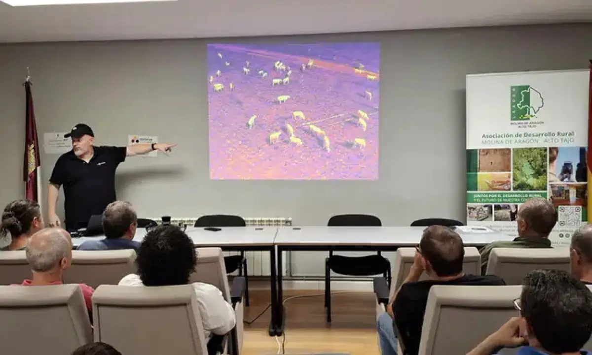 foto4 III Feria Ganadera de San Miguel en Molina de Aragón tradición innovación y futuro para la ganadería extensiva