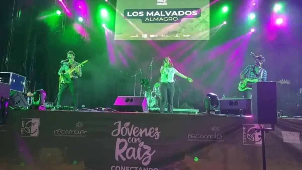 Jóvenes con Raíz Almagro concierto