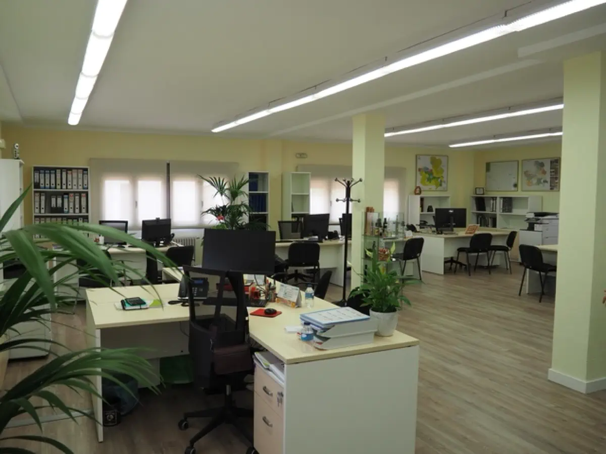 web Inauguración sede RECAMDER instalaciones