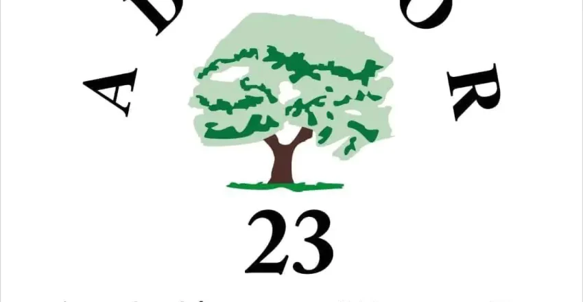 adecor-creara-una-plataforma-de-asesoramiento-y-apoyo-para-implantar-la-inteligencia-artificial-en-la-comarca