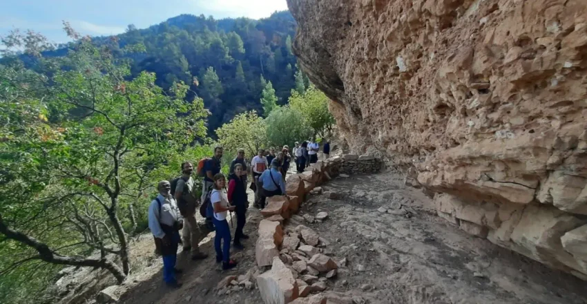arqueologos-de-toda-espana-analizan-el-potencial-del-arte-rupestre-de-la-sierra-del-segura-como-destino-arqueologico-europeo