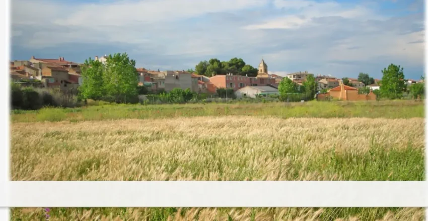 boletin-informativo-de-sacam