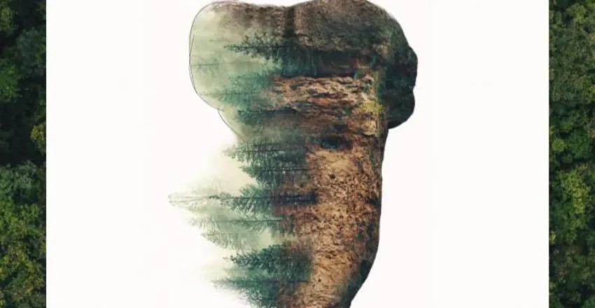 ceder-alcarria-conquense-promocionara-en-naturama-sus-recursos-turisticos-y-naturales-para-darles-valor-y-paliar-la-despoblacion