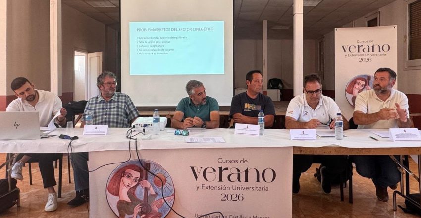 curso verano 2