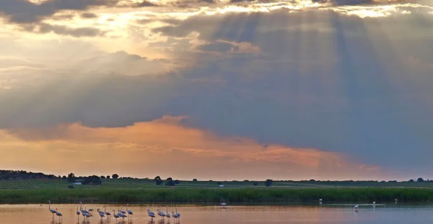 el-gdr-don-quijote-acerca-la-reserva-de-la-biosfera-de-la-mancha-humeda-a-los-centros-educativos-de-la-comarca