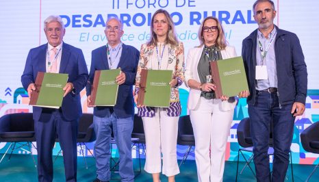 Grupos firmantes del Manifiesto