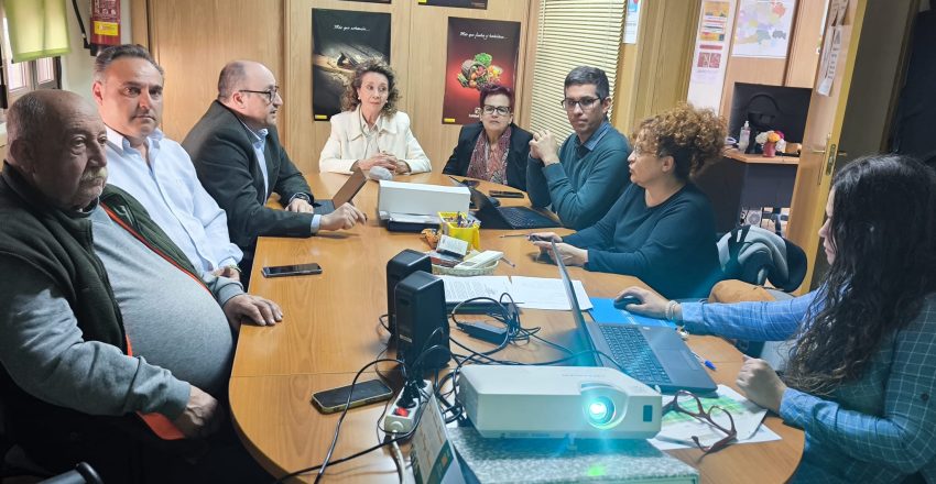 jd Don Quijote marzo