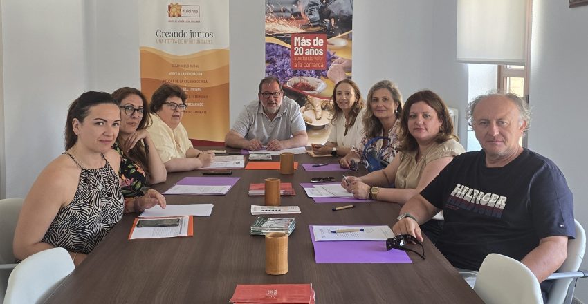 Junta Directiva Dulcinea junio