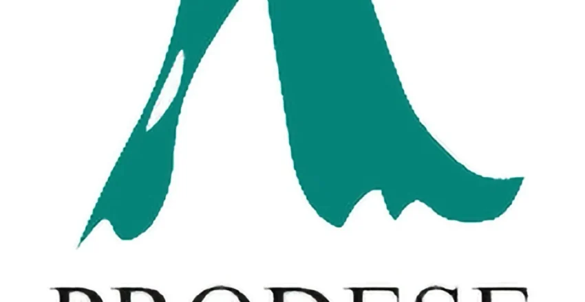 prodese-continua-aprobando-ayudas-leader-para-emprendedores-de-su-comarca