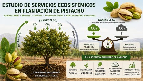 proyecto CO2 en pistacho_page-0001 2